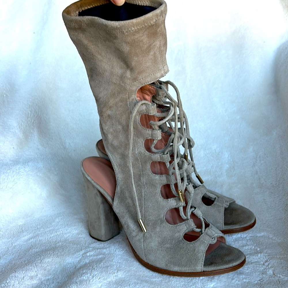 Sigerson Morrison Linda Suede Lace-up Bootie in Mink Size 8